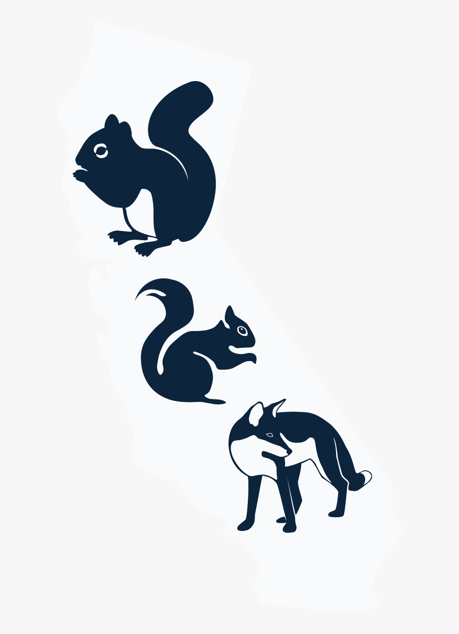 34 Pm 20298 Death 12/10/2015 Clipart , Png Download - Illustration, Transparent Clipart