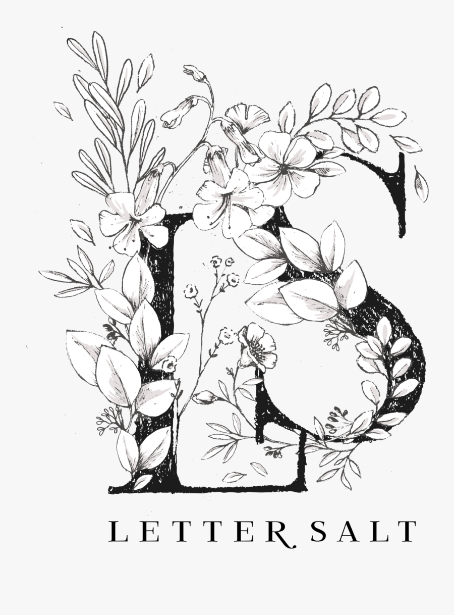 Netflix Drawing Letter - Rosa Glauca, Transparent Clipart