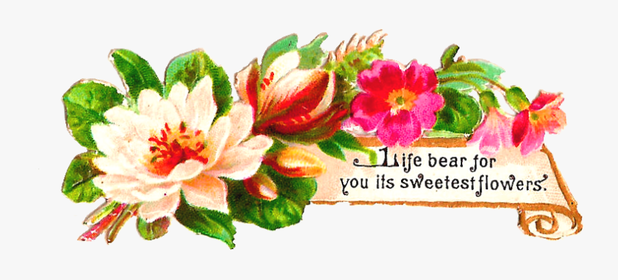 August Roses Watercolor Clip Art, Transparent Clipart