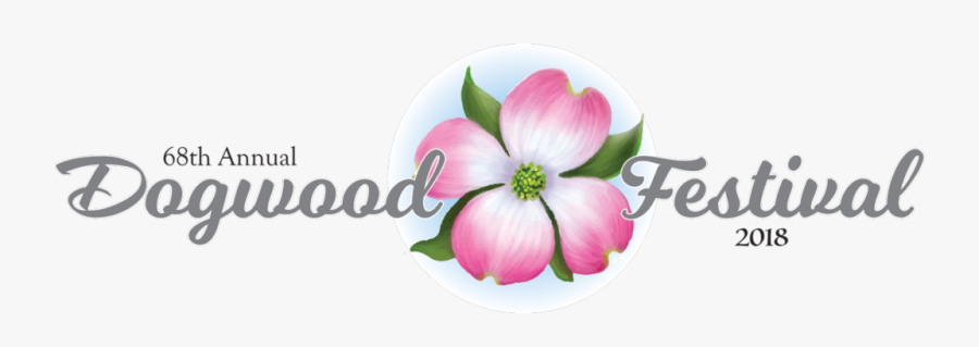 Pink Dogwood Flower, Transparent Clipart