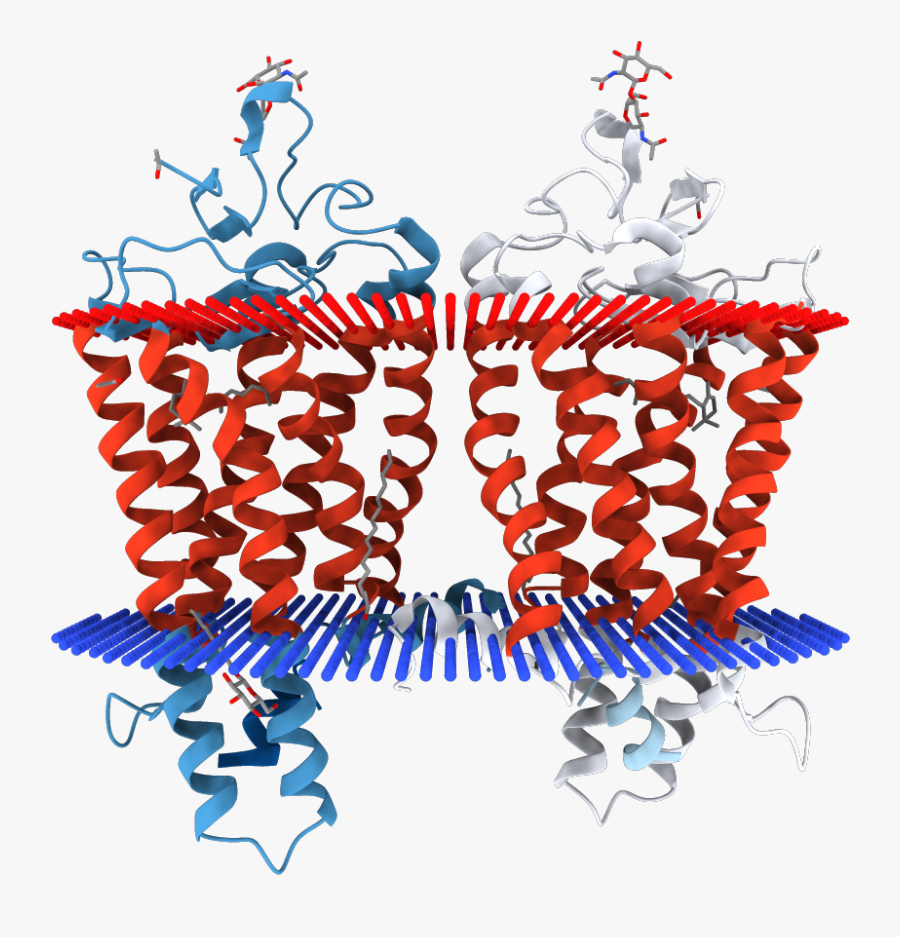 Clip Art, Transparent Clipart