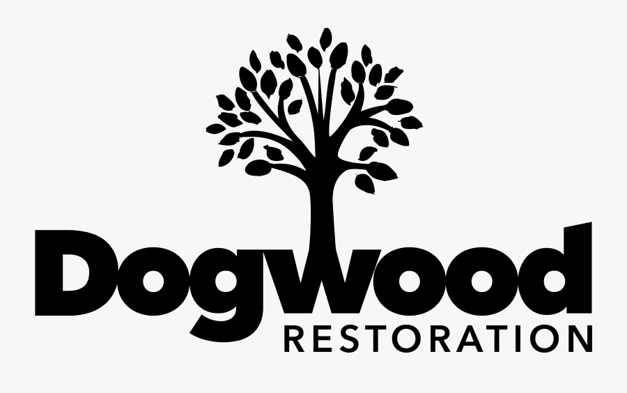 Tree, Transparent Clipart