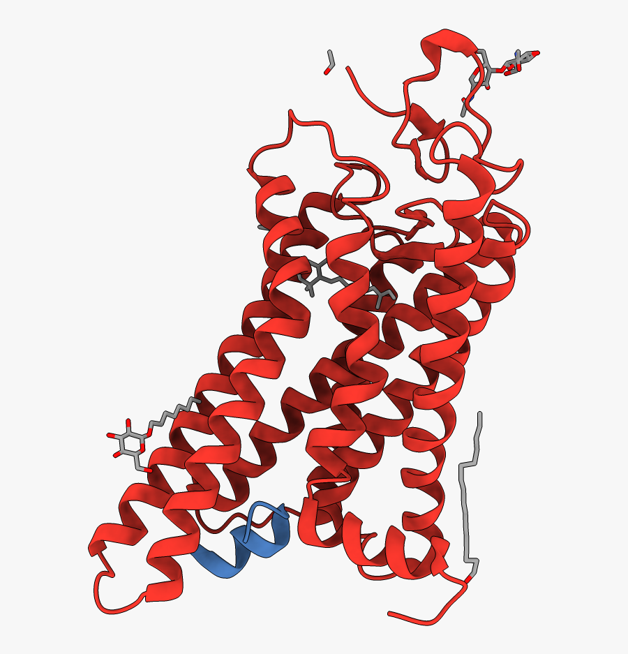 Illustration, Transparent Clipart