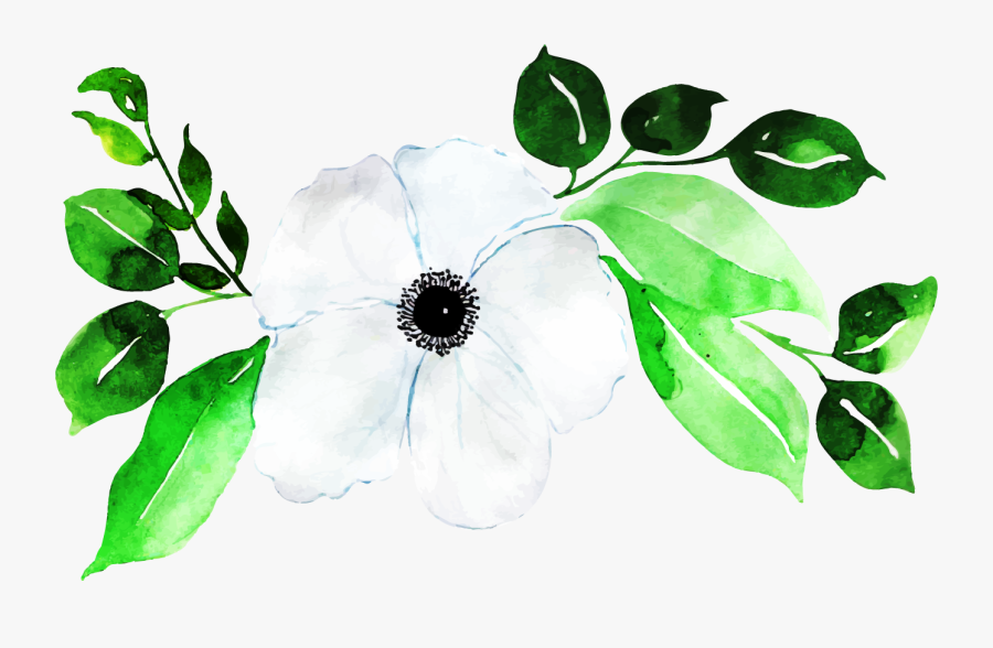 Flower, Transparent Clipart