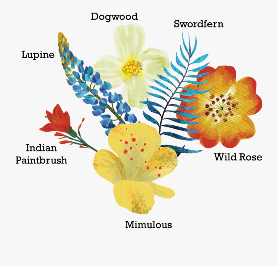 Da Shootz Flora 1 Da Shootz Is Here Featured Post - Illustration, Transparent Clipart