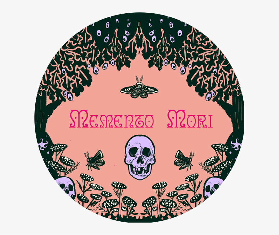 Circle, Transparent Clipart