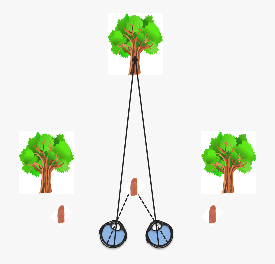 Binocular Cues, Transparent Clipart
