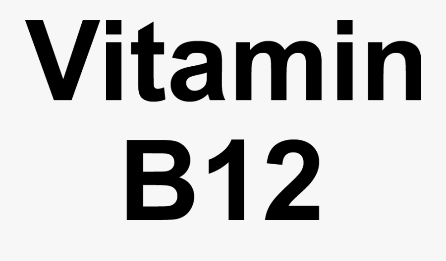 Vitamin B12 Deficiency Can Contribute To Addiction - Bangla Paragraph Netaji Subhas Chandra Bose, Transparent Clipart