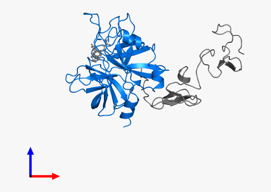 Graphic Design, Transparent Clipart