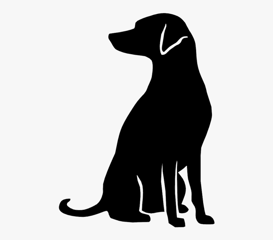 Dog Nose Png- - Dog Catches Something, Transparent Clipart