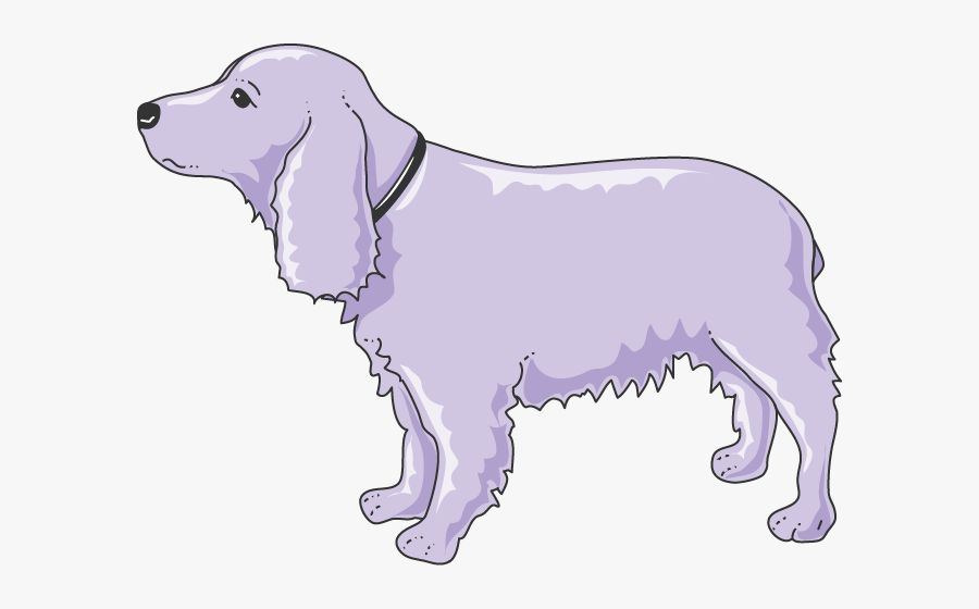 Chien - Golden Retriever, Transparent Clipart