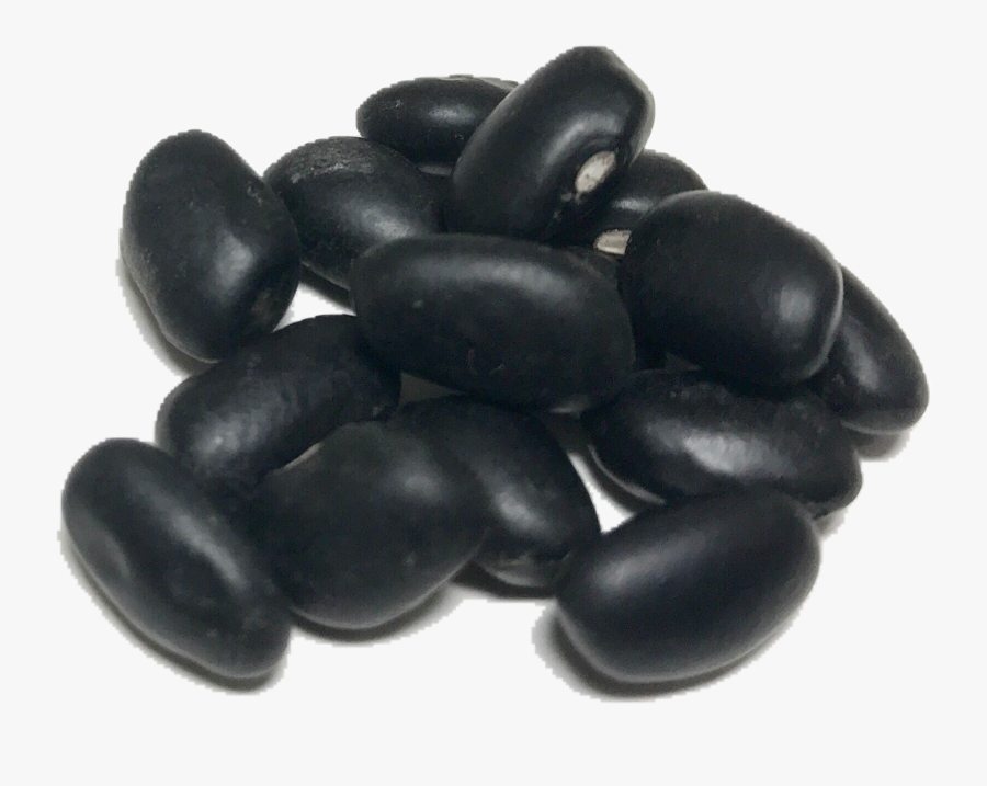 transparent bean png black bean png free transparent clipart clipartkey transparent bean png black bean png
