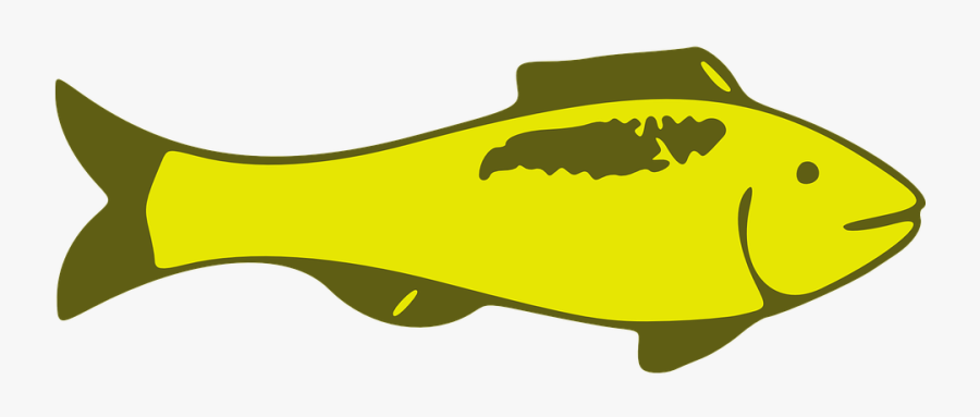 Fish, Yellow, Animal, Emblem, Heraldic - Clip Art, Transparent Clipart