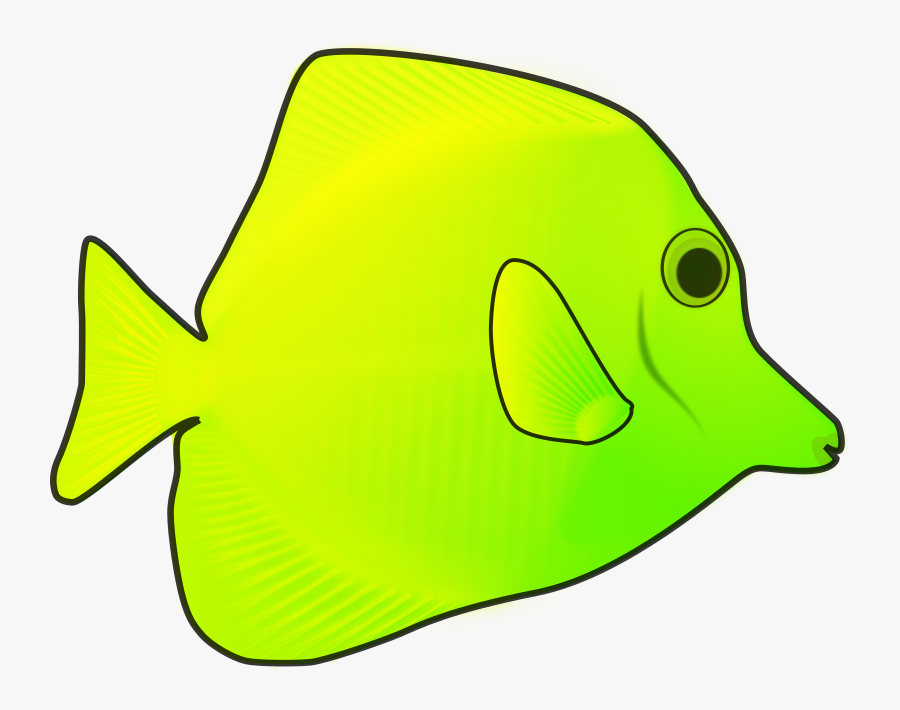 Yellow Fish - Coral Reef Fish, Transparent Clipart