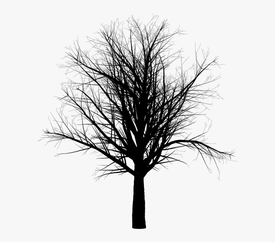 Halloween Transparent Tree, Transparent Clipart