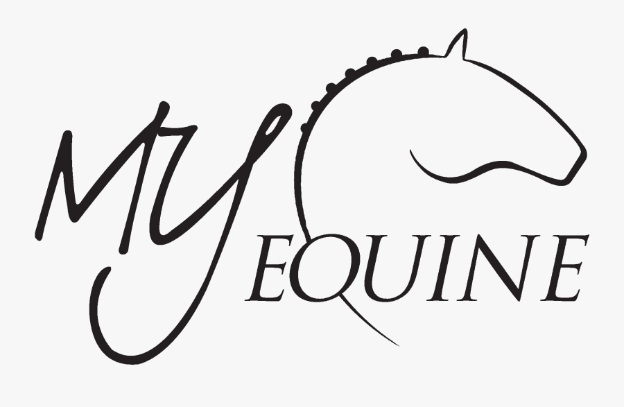 My Equine - Diuncorpo - Calligraphy, Transparent Clipart