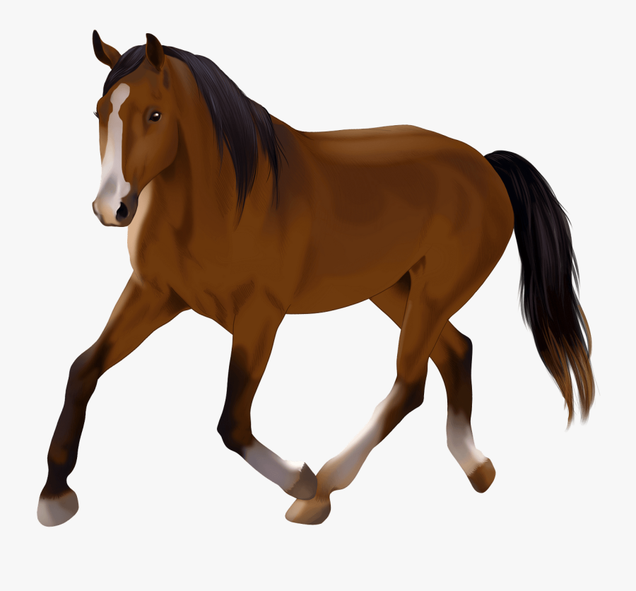 Sorrel, Transparent Clipart