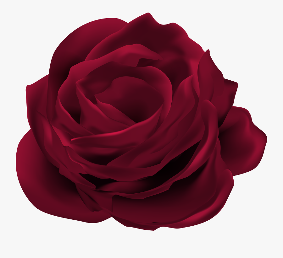 Dark Flowers Png - Dark Rose Transparent Background, Transparent Clipart