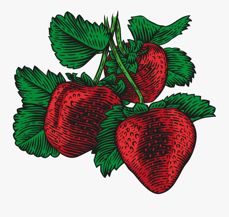 Ion Strawberries, Transparent Clipart