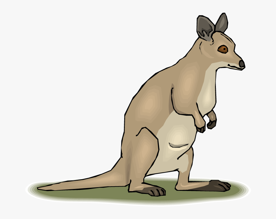 Clip Art Of Tree Kangaroo, Transparent Clipart