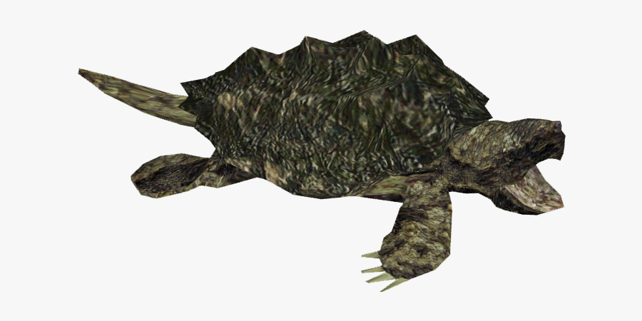 Snapping Turtle - Alligator Snapping Turtle Png, Transparent Clipart