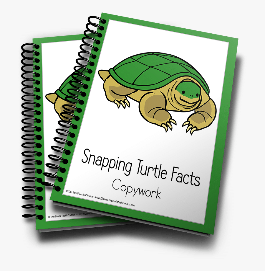 Snapping Turtle Color And Copywork - Caderno Do Neymar Tilibra, Transparent Clipart