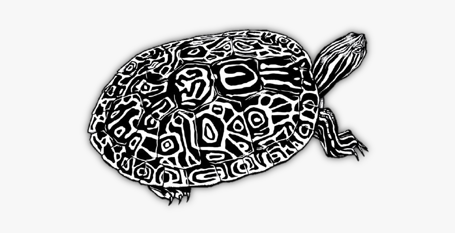 Watrivcootbw - Png Turtle Black And White, Transparent Clipart