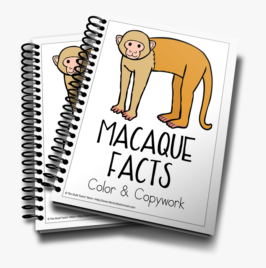 Jonah And The Whale Mini Book, Transparent Clipart