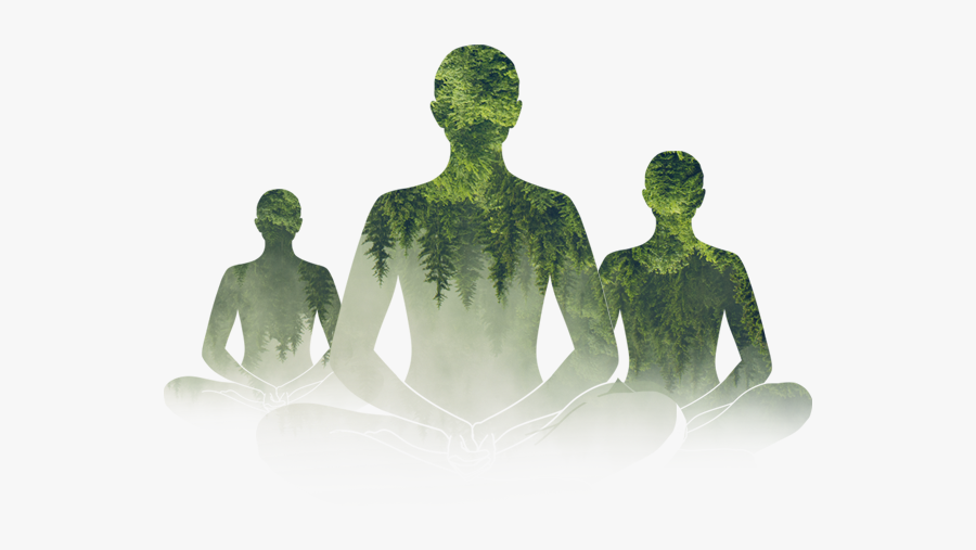 International Day Of Yoga - International Yoga Day 2019 Heartfulness, Transparent Clipart