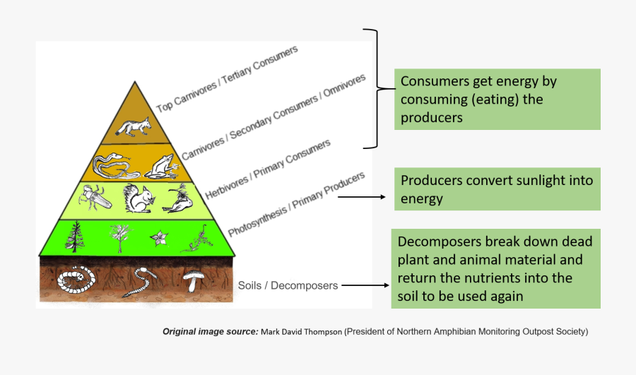 Producer - Triangle, Transparent Clipart
