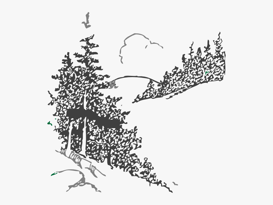 Pine Tree Line Art, Transparent Clipart