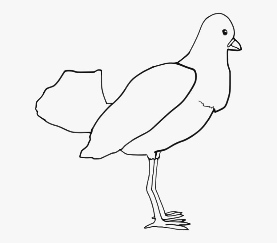 Bird - Drawing, Transparent Clipart