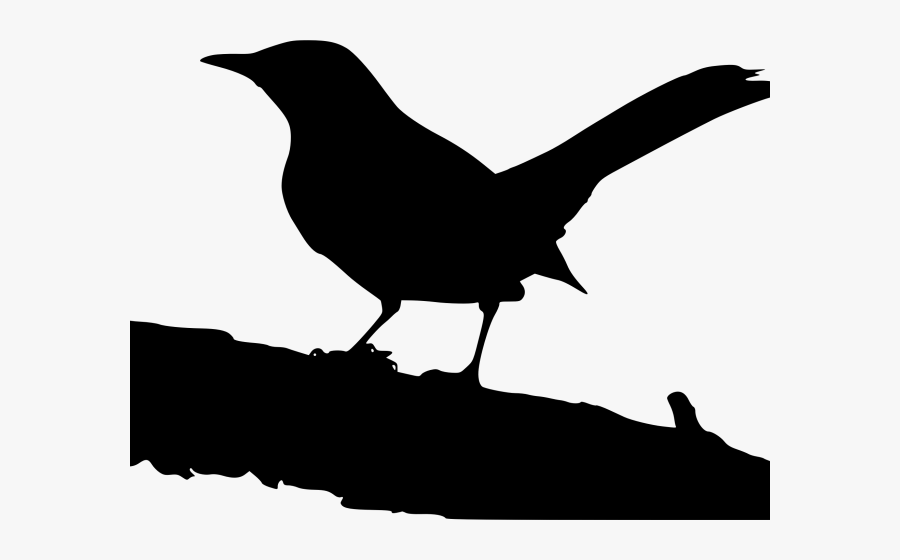 Mockingbird Clipart, Transparent Clipart