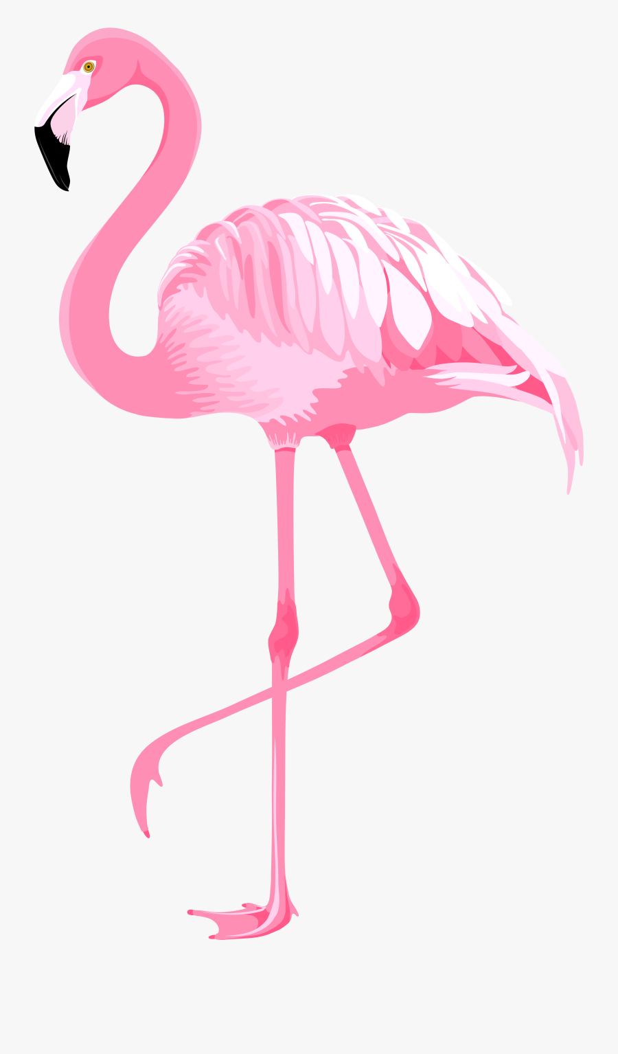 Flamingo Clip Art - Clip Art Flamingo Png, Transparent Clipart