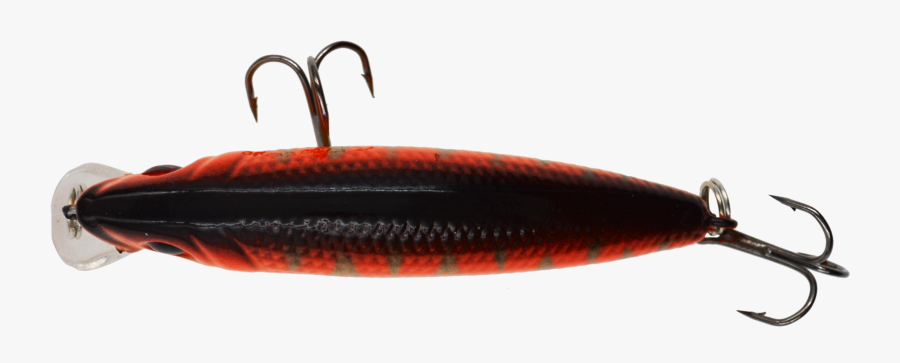 Transparent Trout Png - Earrings, Transparent Clipart