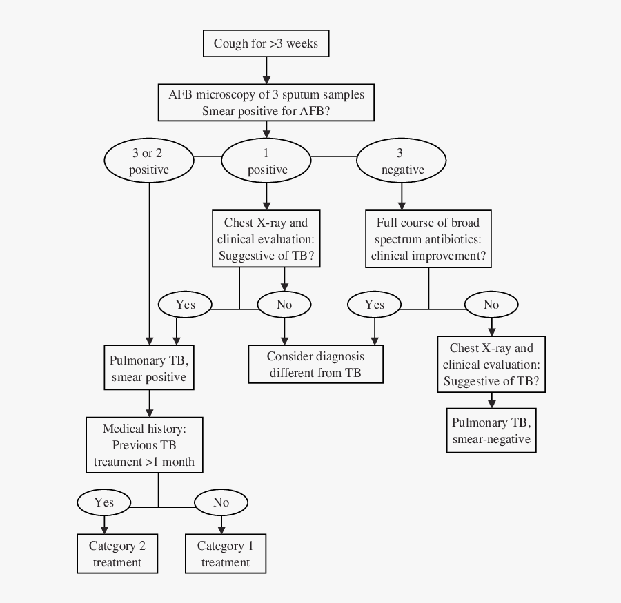 Algorithm For Diagnosis Of - Tb Category 2 Treatment, Transparent Clipart