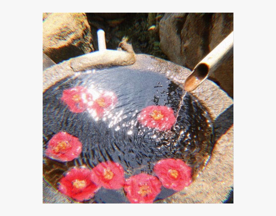 #water #waters #rose #picture #aesthetic #soft #pink - Placemat, Transparent Clipart