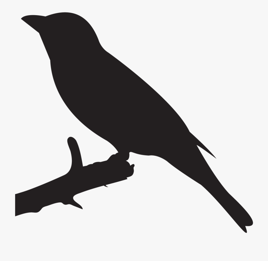 Tanager Bird Images Silhouette, Transparent Clipart