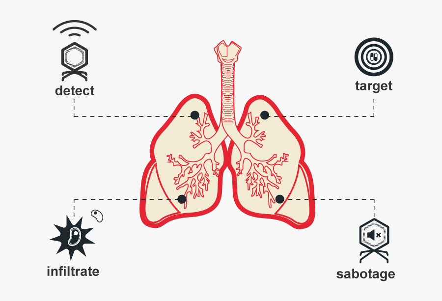 Vector Transparent Download Team Paris Bettencourt - Tuberculosis Transparent Background, Transparent Clipart