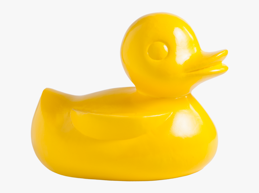 Duck, Transparent Clipart