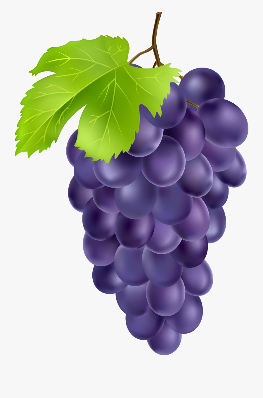 Grapes Clipart Hanging - Grapes Png Clipart, Transparent Clipart