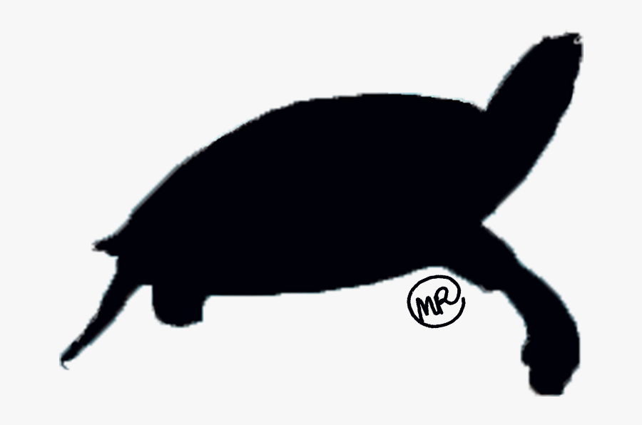 Transparent Turtle Silhouette Png - Whale, Transparent Clipart
