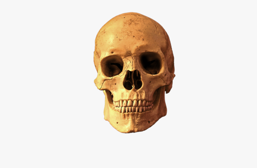 Skull Transparent Background Png Image Free Download, Transparent Clipart