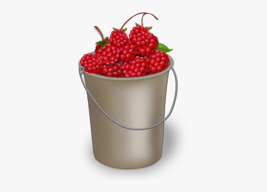 Frutti Di Bosco, Transparent Clipart