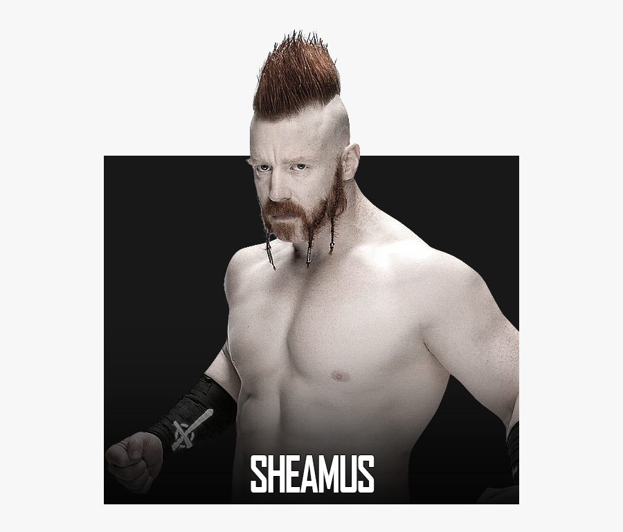 Transparent Sheamus Png - Barechested, Transparent Clipart
