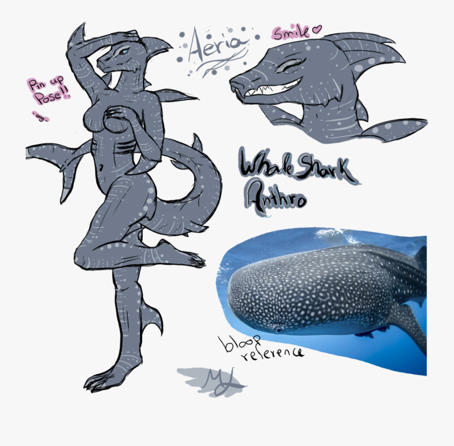 Whale Shark Clipart Furry - Sexy Anthro Whale Shark, Transparent Clipart
