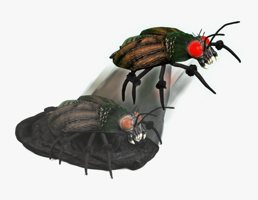 Attack Spider Spirit Halloween Clipart , Png Download - Tiger Beetle, Transparent Clipart