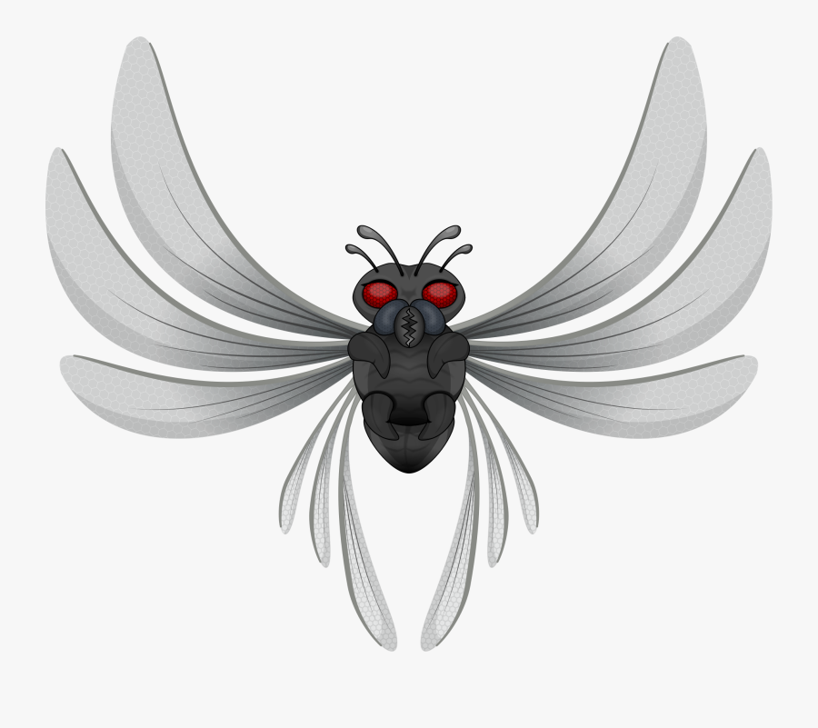 Custom Horsefly Shower Curtain - Bicho Clipart, Transparent Clipart