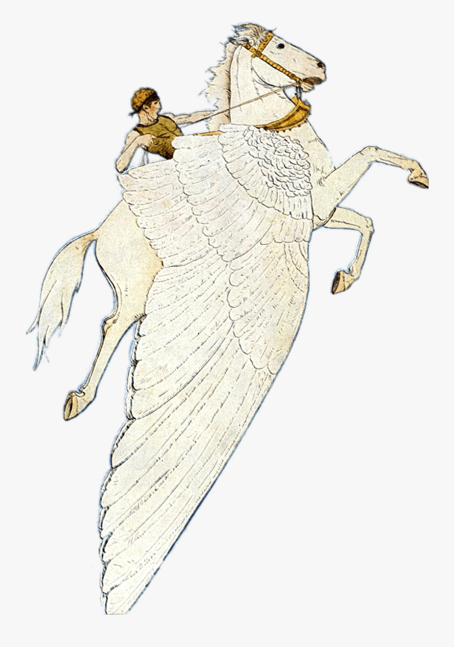Pegasus Winged Horse - Illustration, Transparent Clipart