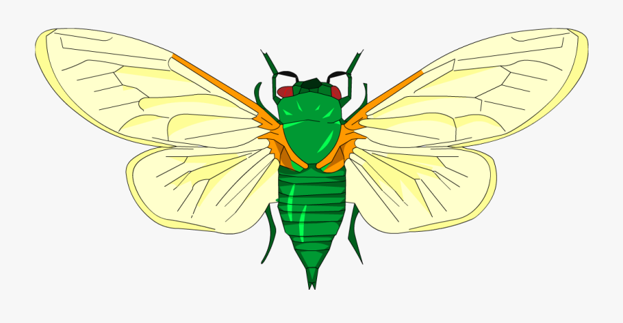 Butterfly, Transparent Clipart